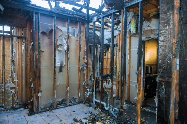 Professional Smoke Damage Removal technician working in Baldwin, MD